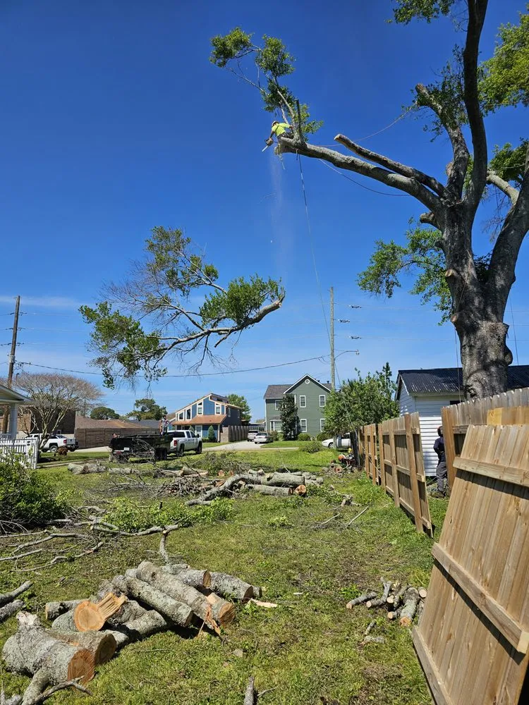 Affordable garden landscaping experts serving Metairie, LA - Gardner Tree service