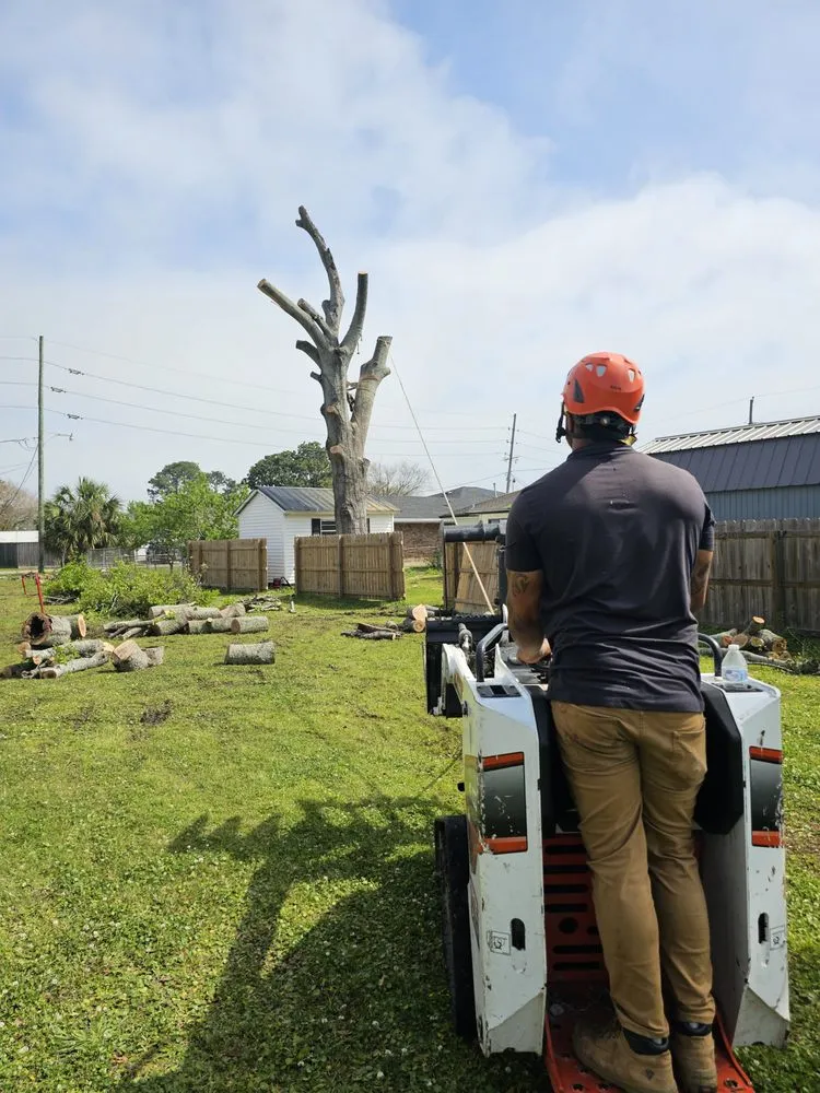 Reliable outdoor landscaping experts serving Metairie, LA - Gardner Tree service