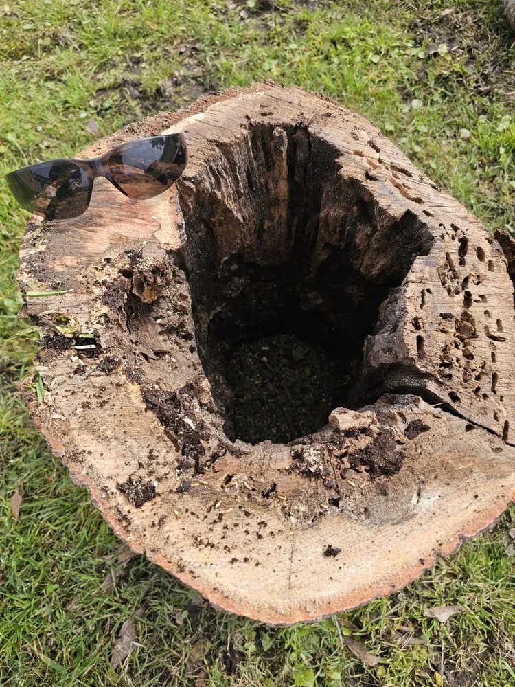 Top-rated yard maintenance with custom design in Metairie, LA by Gardner Tree service