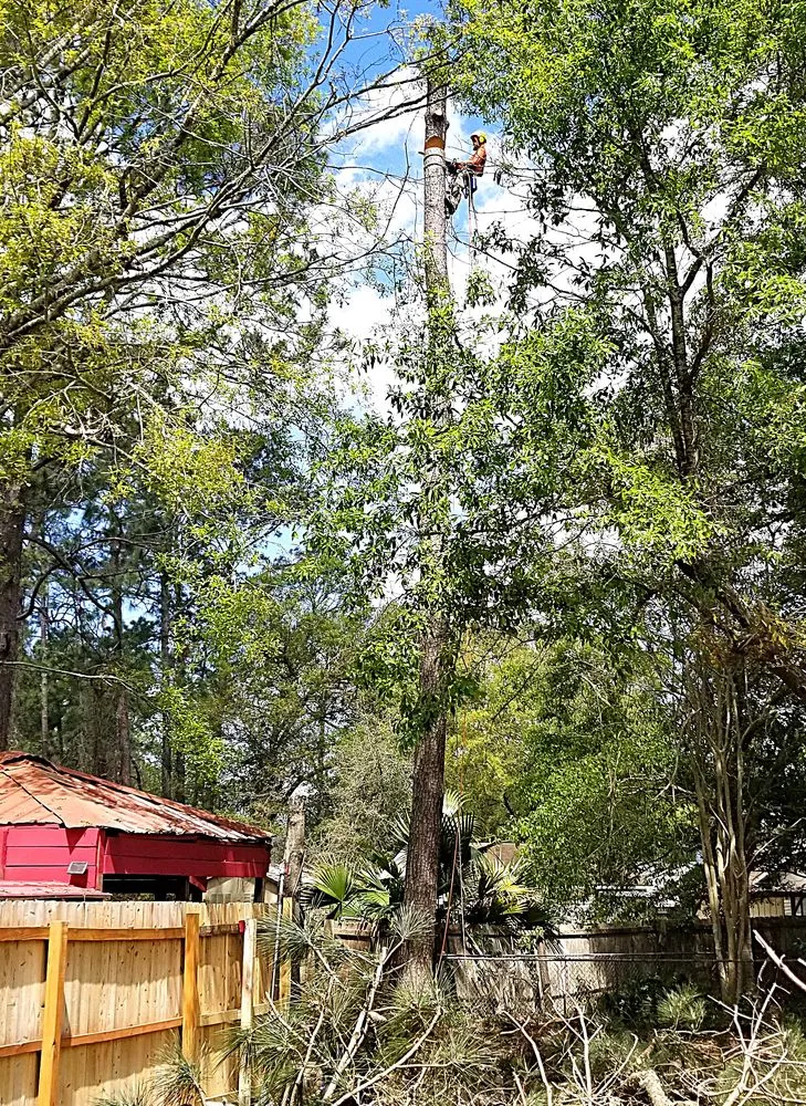 Professional yard maintenance for beautiful yards in Metairie, LA by Gardner Tree service