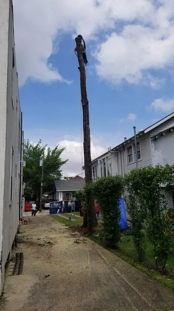 Expert garden landscaping near you across Metairie, LA - Gardner Tree service