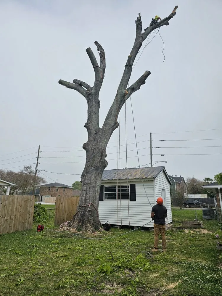 Custom garden landscaping near you in Metairie, LA by Gardner Tree service