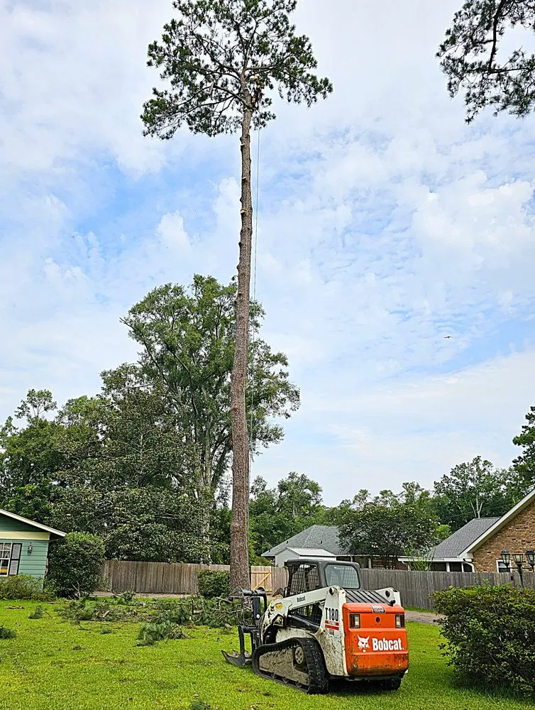 Custom residential landscaping near you across Metairie, LA - Gardner Tree service