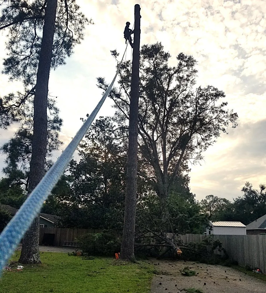 Top-rated landscape installation in Metairie, LA - Gardner Tree service