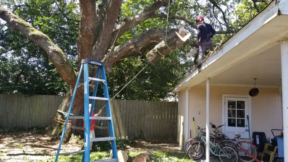 Local outdoor landscaping for homes across Metairie, LA - Gardner Tree service