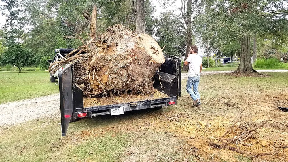 Local garden landscaping for beautiful yards in Metairie, LA by Gardner Tree service