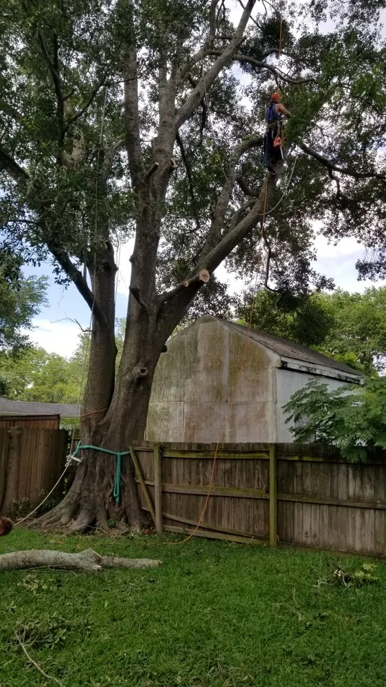 Reliable residential landscaping experts serving Metairie, LA - Gardner Tree service