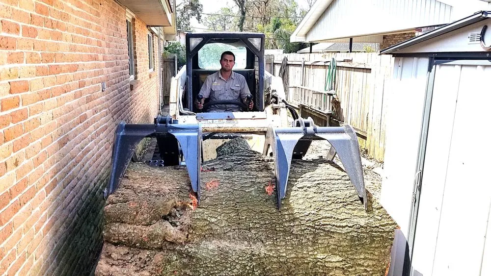 Trusted landscape design in Metairie, LA by Gardner Tree service