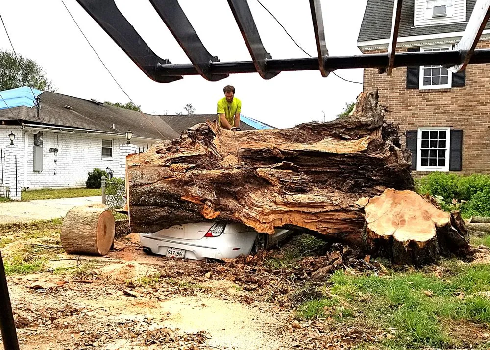 Expert yard maintenance in Metairie, LA by Gardner Tree service