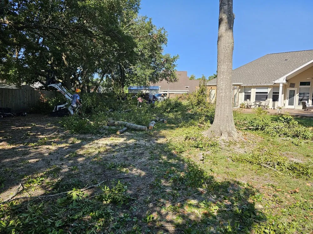 Trusted outdoor landscaping for year-round maintenance in Metairie, LA by Gardner Tree service