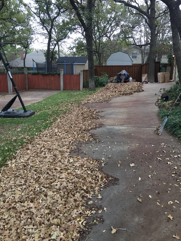 Professional yard cleanup service experts serving Fort Worth, TX - Gardner's Touch Lawn Care