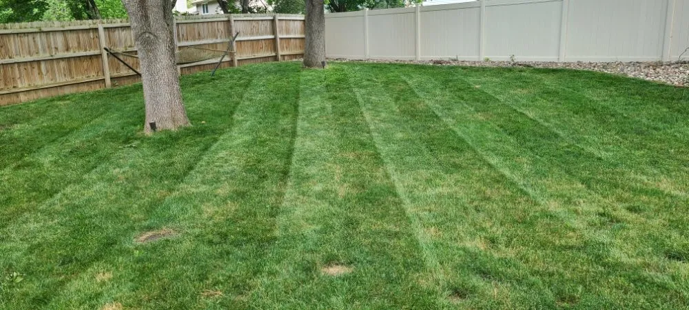 Affordable outdoor landscaping experts serving West Des Moines, IA - GARDO Lawn Care