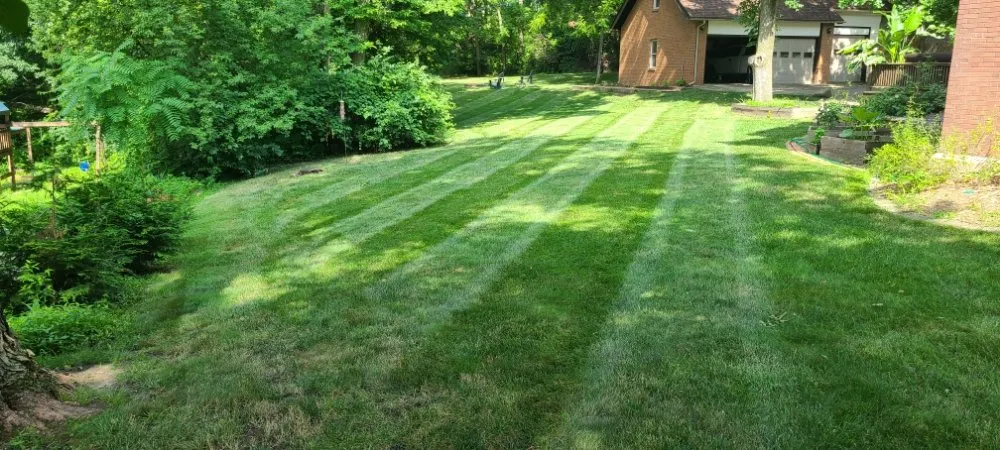 Local lawn care service for outdoor upgrades across West Des Moines, IA - GARDO Lawn Care
