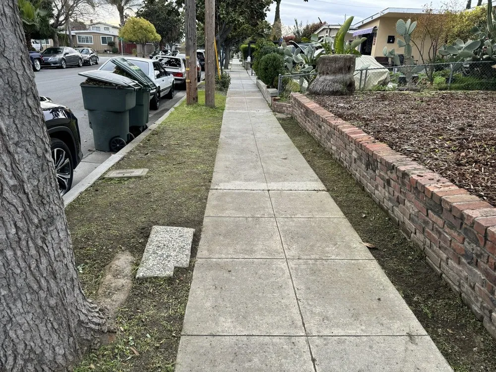 Trusted lawn care service in Sunnyvale, CA by Garescape