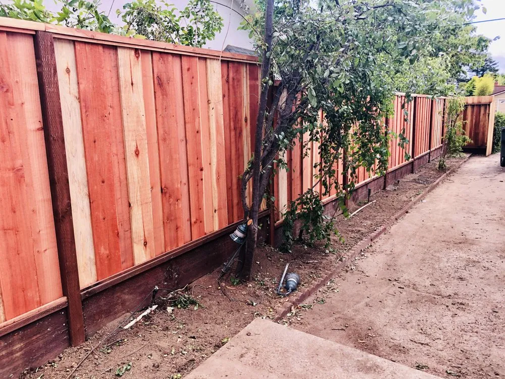 Reliable yard cleanup service in Turlock, CA by Garescape