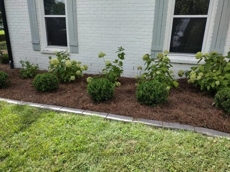 Reliable lawn mowing service experts serving Nashville, TN - Garfield And Company