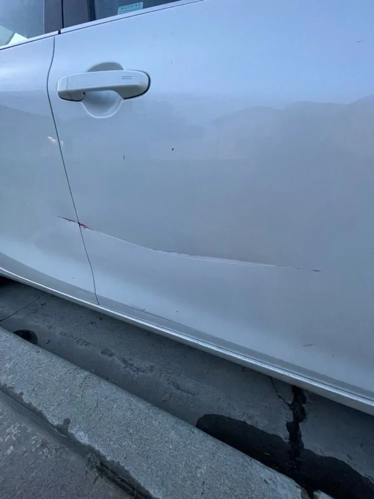 Affordable landscape installation for year-round maintenance across Kennewick, WA - Gargoram Landscaping