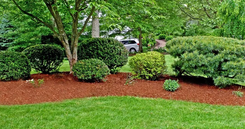 Local yard maintenance for outdoor upgrades in Manhattan, KS by Garibay Lawn Care and Landscaping