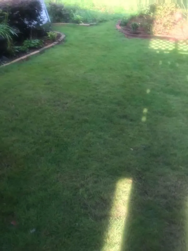 Top-rated lawn care service in Jonesboro, GA - Garland Discount Lawn Service