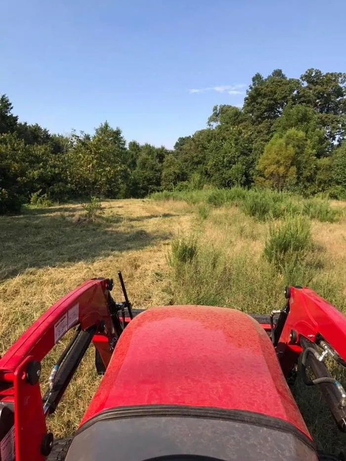 Reliable yard maintenance in Colfax, NC - Garland Landscaping