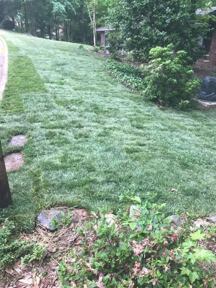 Trusted outdoor landscaping in Colfax, NC by Garland Landscaping