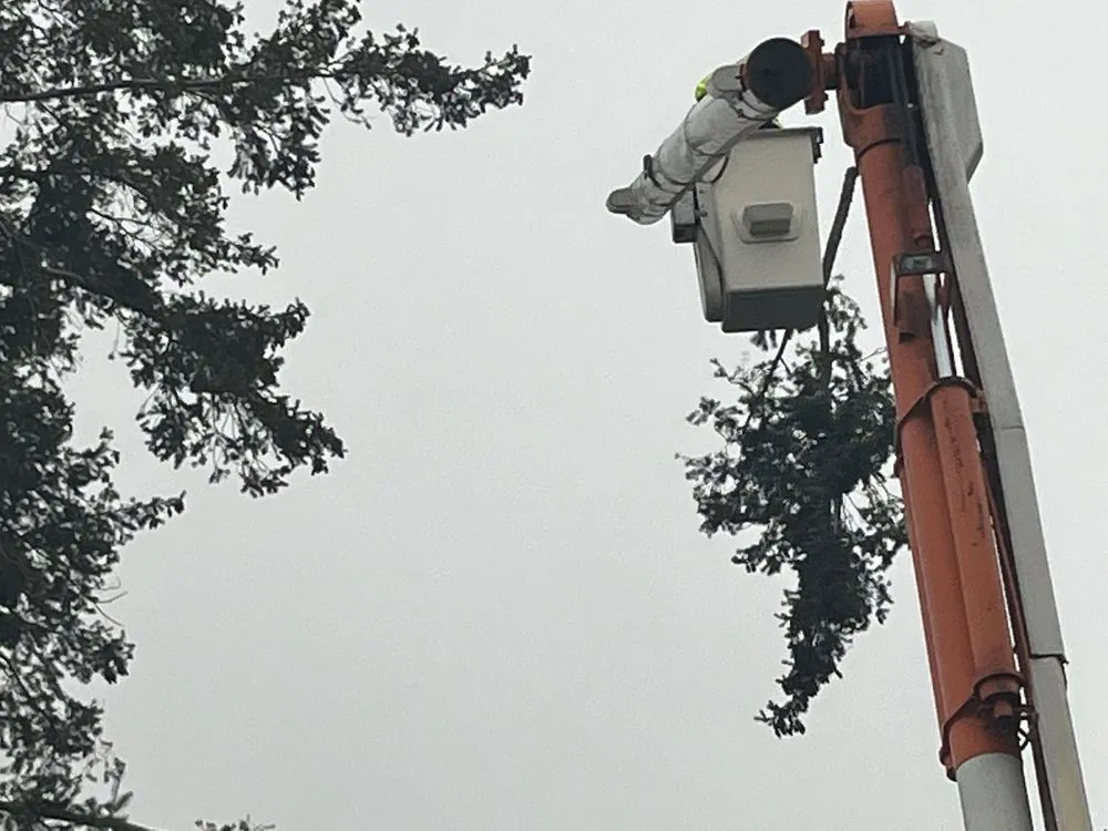 Local lawn care service in Pasco, WA - Garlar Landscaping & Maintenance