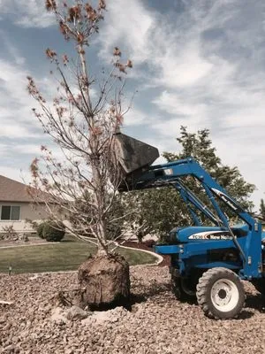 Garlar Landscaping & Maintenance Logo