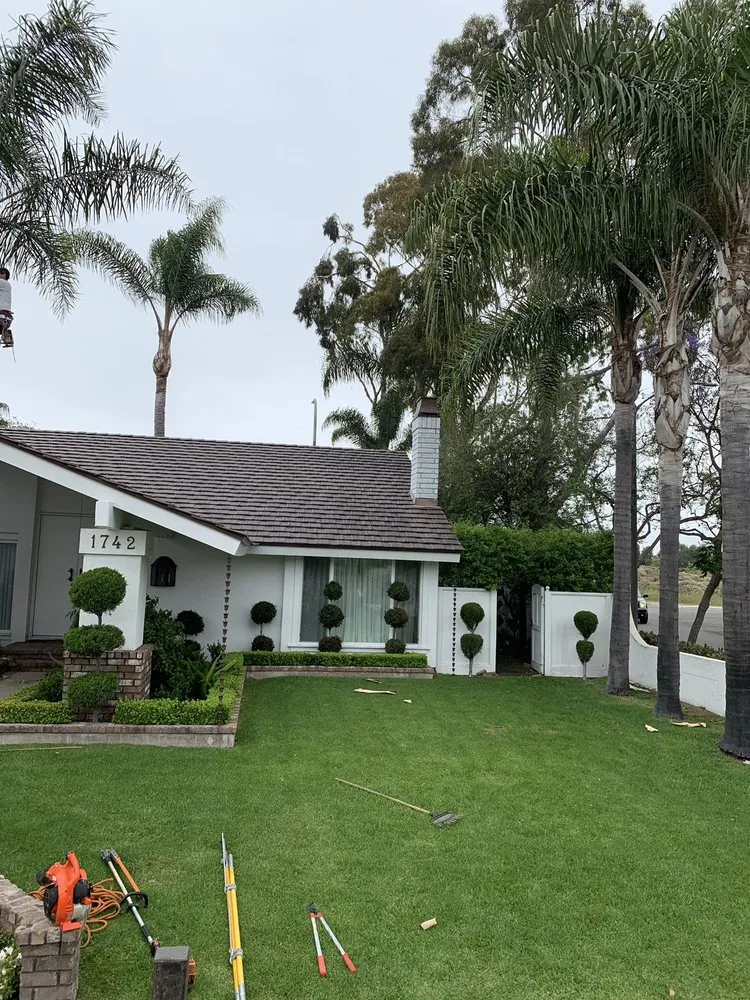 Local residential landscaping for year-round maintenance across Santa Ana, CA - Garlíf Landscaping & tree service