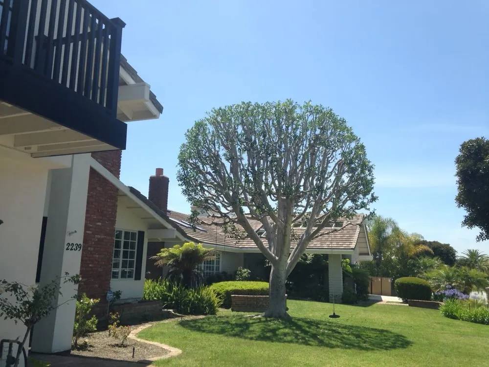 Expert yard maintenance for beautiful yards in Santa Ana, CA by Garlíf Landscaping & tree service