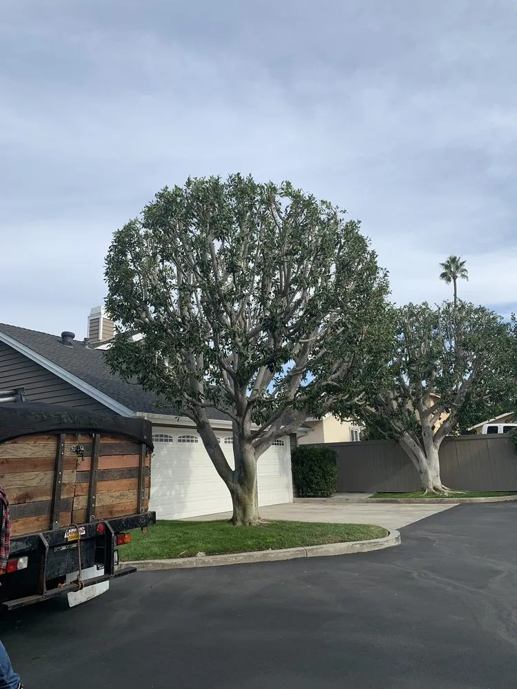 Top-rated landscape installation in Santa Ana, CA by Garlíf Landscaping & tree service