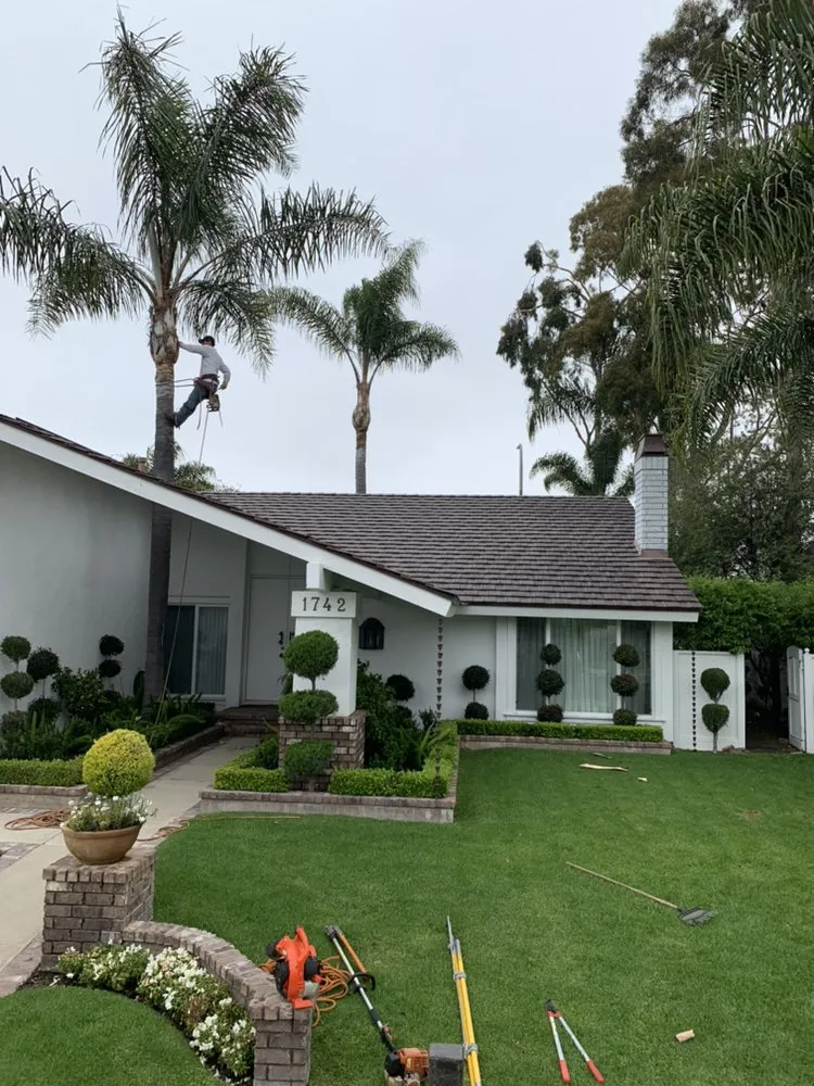 Affordable lawn care service for year-round maintenance across Santa Ana, CA - Garlíf Landscaping & tree service