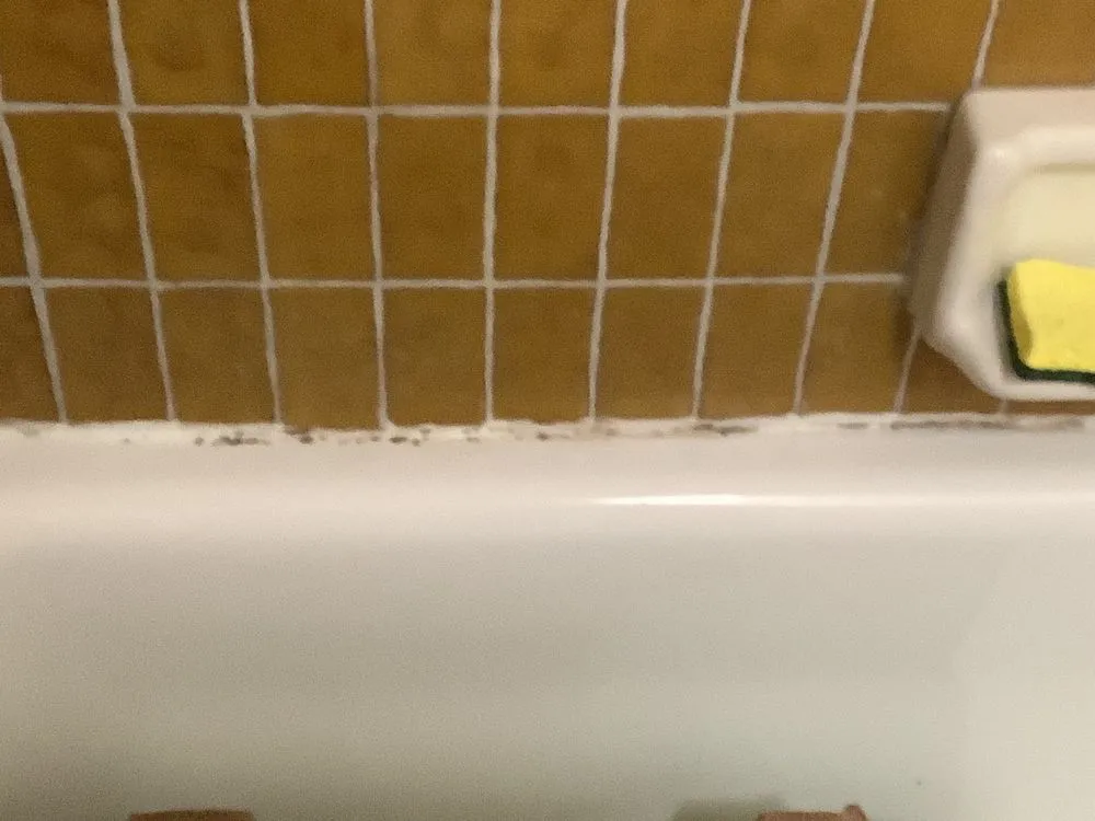 Local landscaping services experts serving Sterling Heights, MI - Garlic Landscaping