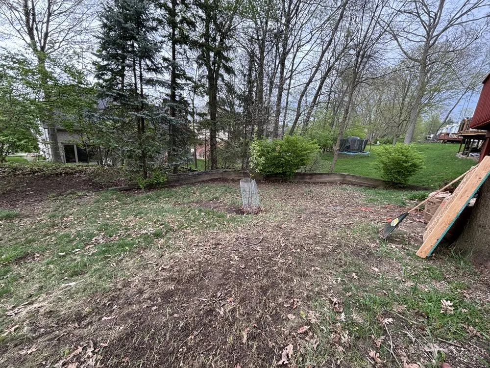 Local yard cleanup service in Sterling Heights, MI by Garlic Landscaping