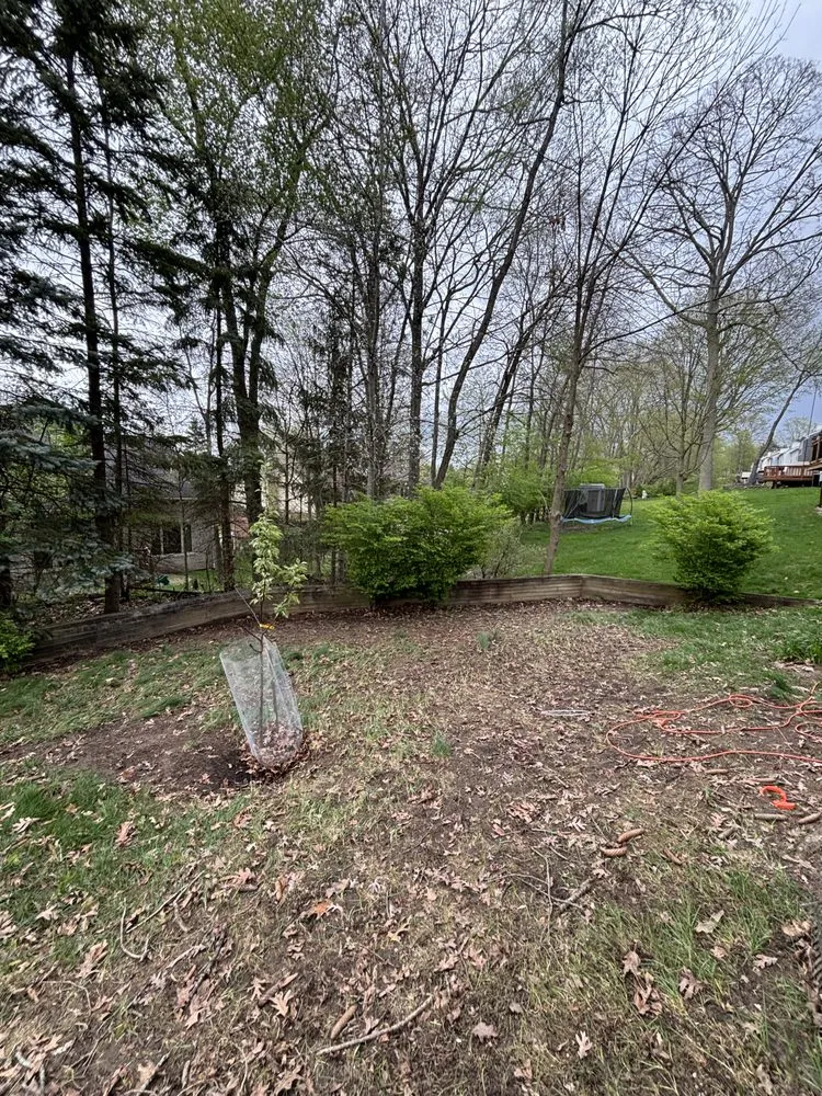 Top-rated landscape installation in Sterling Heights, MI by Garlic Landscaping