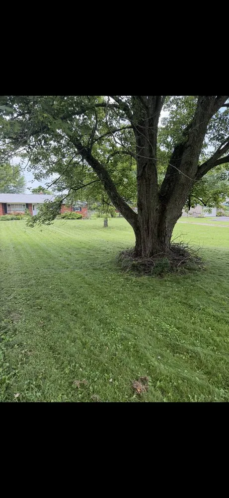 Expert outdoor landscaping in Dayton, OH by Garmendia Lawn Care Service