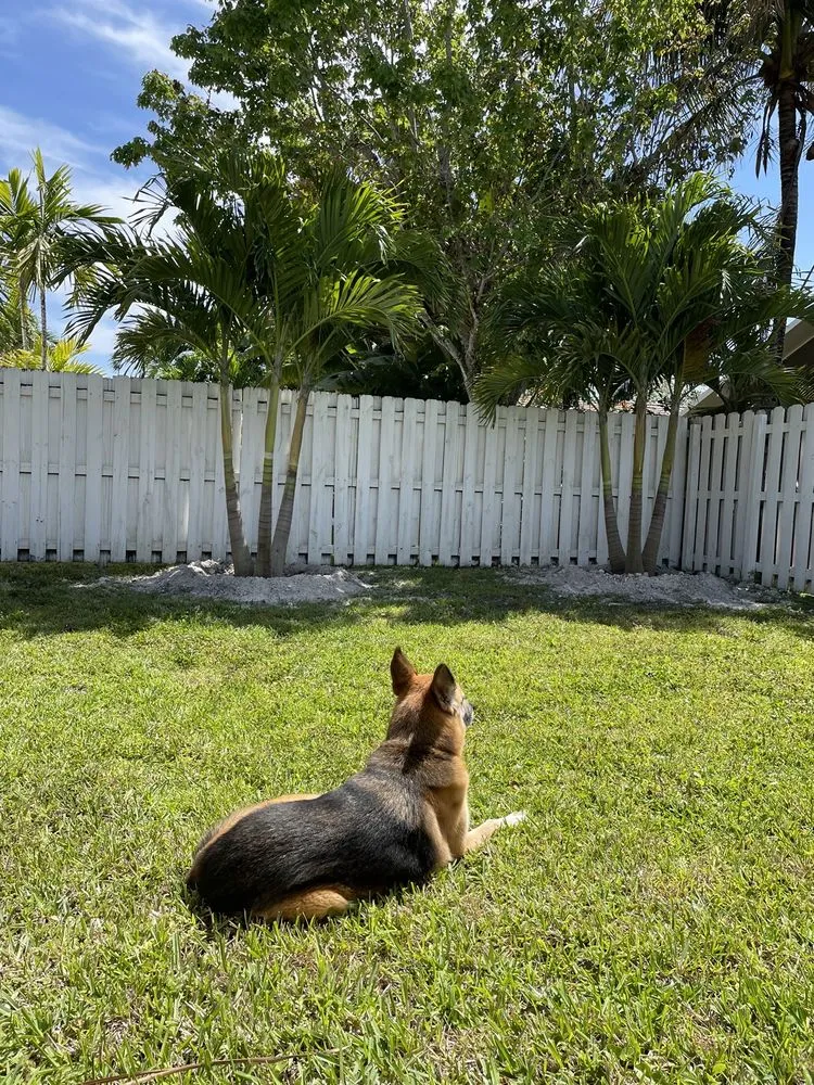 Affordable landscape design in Davie, FL by Garmizos