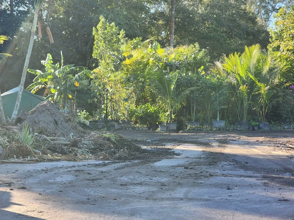 Top-rated lawn care service in Davie, FL - Garmizos