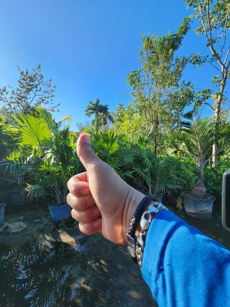 Local residential landscaping for residential properties in Davie, FL by Garmizos