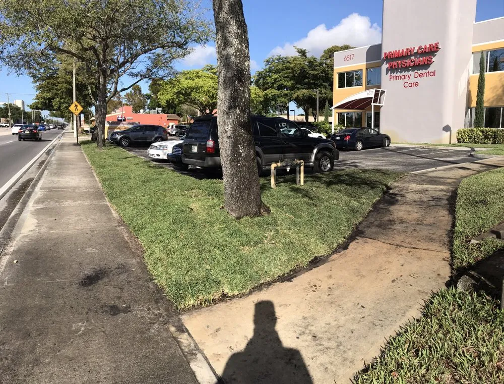 Top-rated outdoor landscaping in Davie, FL - Garmizos