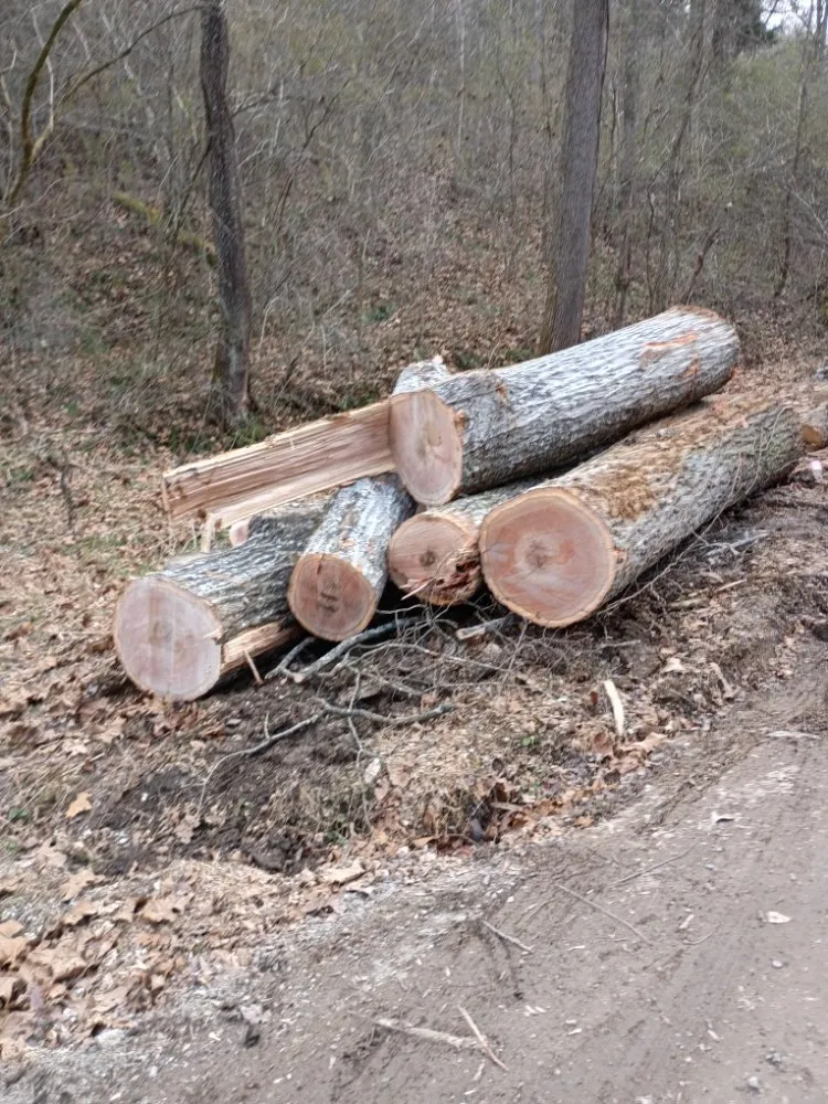 Professional garden landscaping experts serving Harrogate, TN - Garner Lawn Care