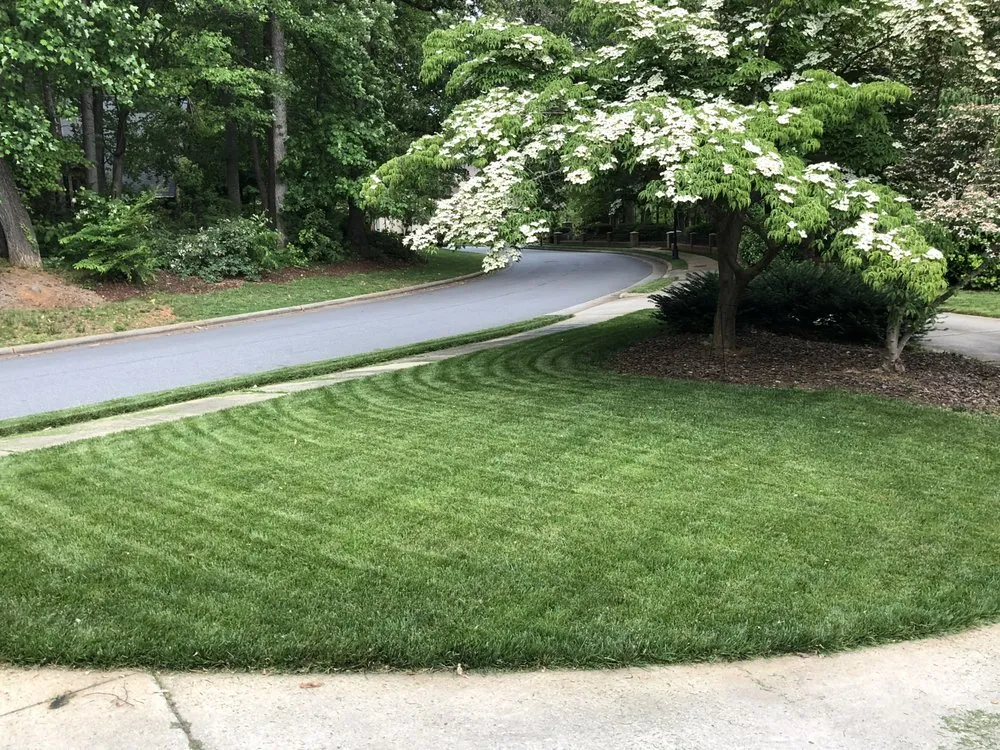 Reliable yard cleanup service experts serving Greensboro, NC - Garner Mulch & Lawn Services