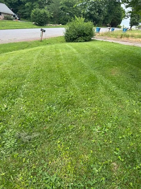 Custom residential landscaping in Newton, NC by Garner Property Services