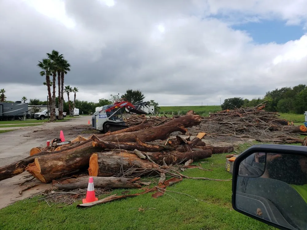 Trusted lawn care service in Mabelvale, AR - Garner Tree Service