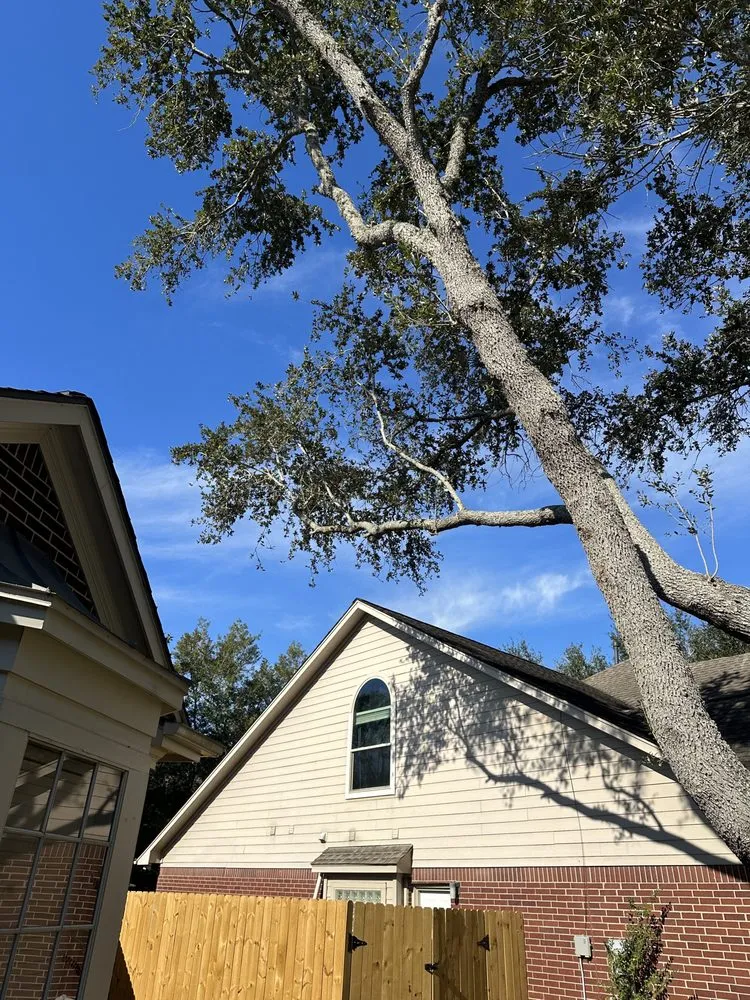Reliable lawn care service in Mabelvale, AR - Garner Tree Service