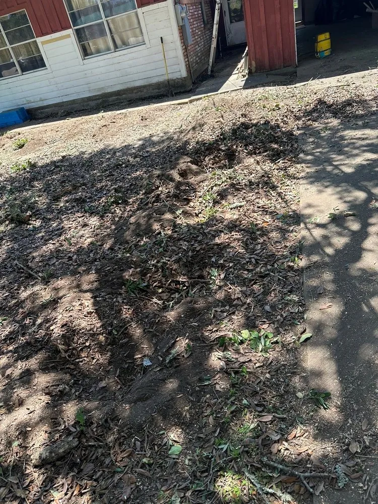 Professional yard cleanup service in Mabelvale, AR by Garner Tree Service