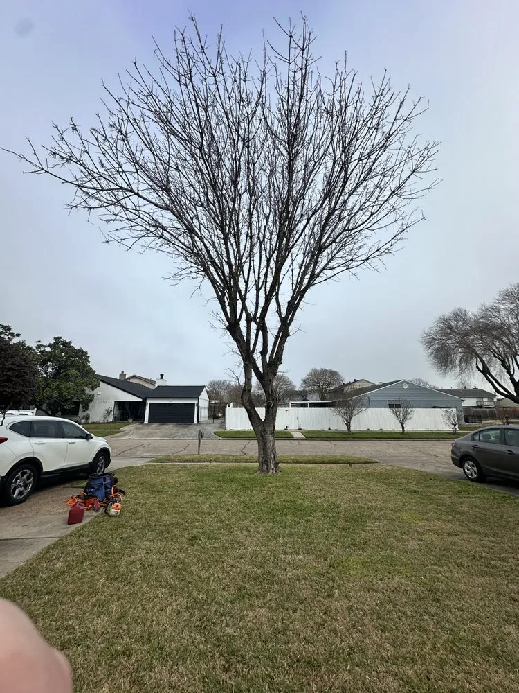 Top-rated lawn mowing service for beautiful yards in Mabelvale, AR by Garner Tree Service