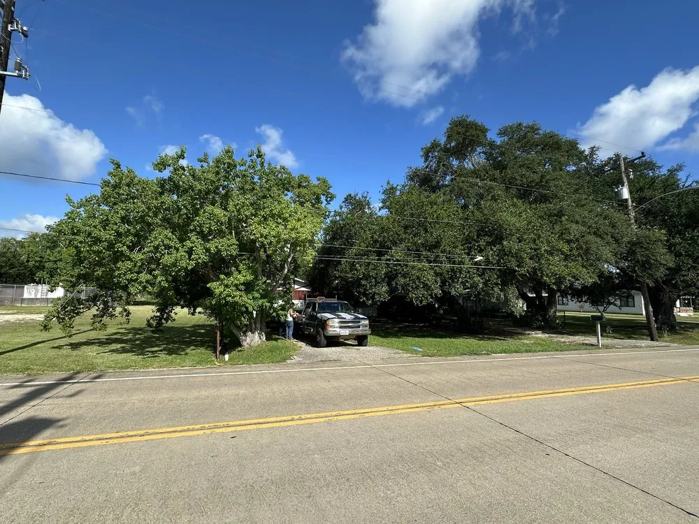 Affordable outdoor landscaping for year-round maintenance in Mabelvale, AR by Garner Tree Service