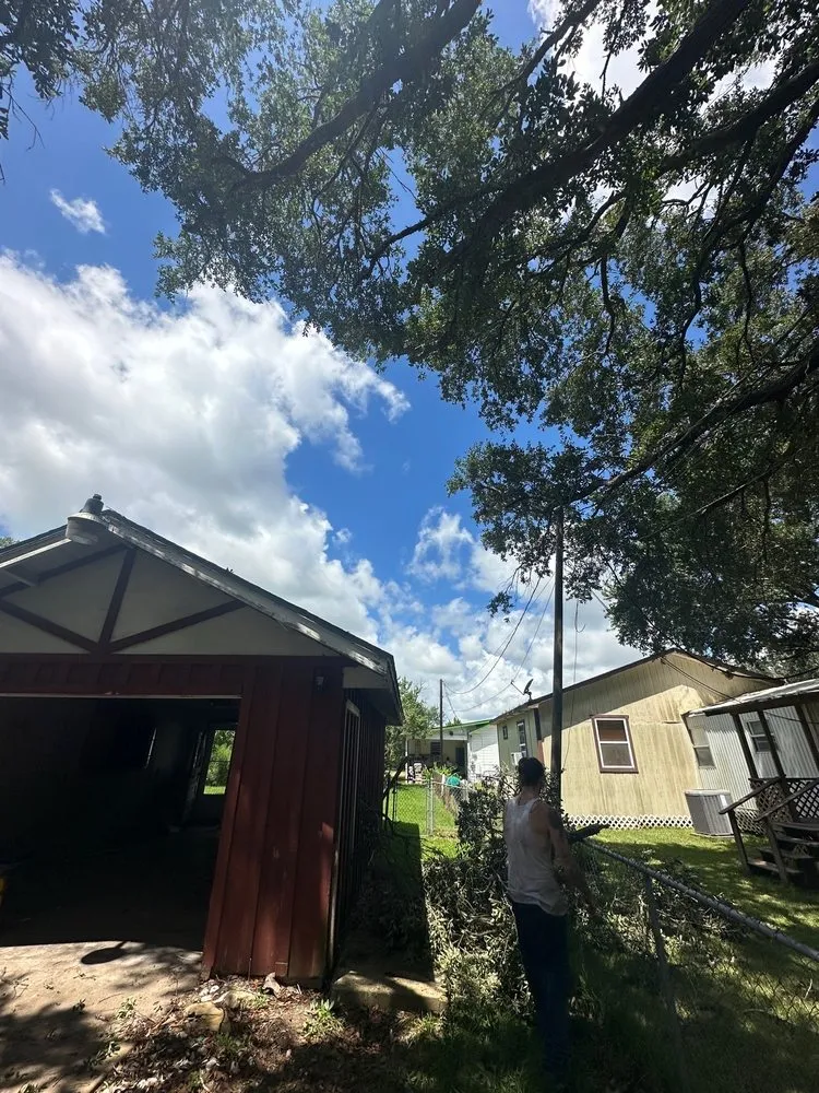 Top-rated lawn mowing service experts serving Mabelvale, AR - Garner Tree Service