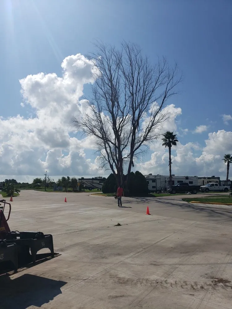 Trusted yard cleanup service in Mabelvale, AR by Garner Tree Service