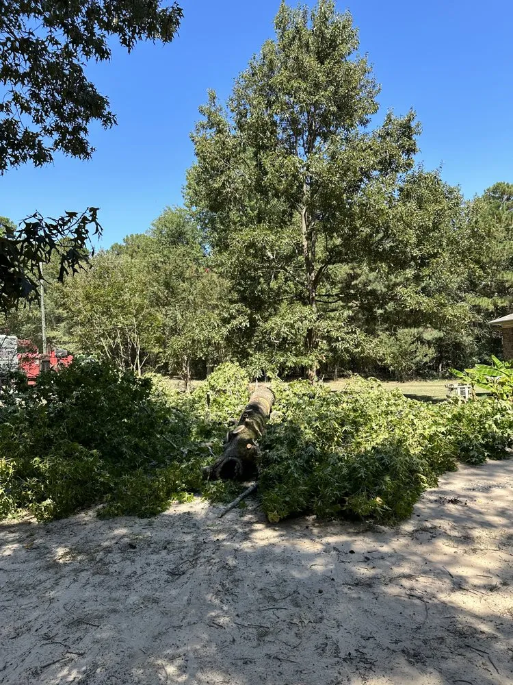 Expert lawn care service with custom design across Mabelvale, AR - Garner Tree Service